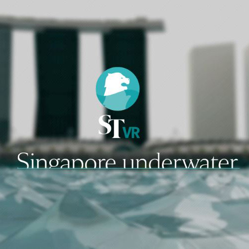 Singapore Underwater